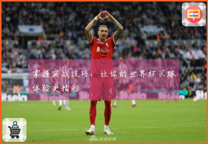 掌握实战技巧，让你的世界杯买球体验更精彩