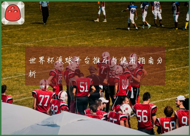 世界杯滚球平台推荐与使用指南分析