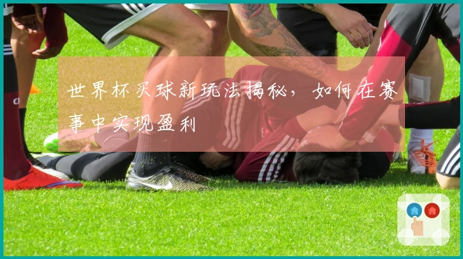 世界杯买球新玩法揭秘，如何在赛事中实现盈利