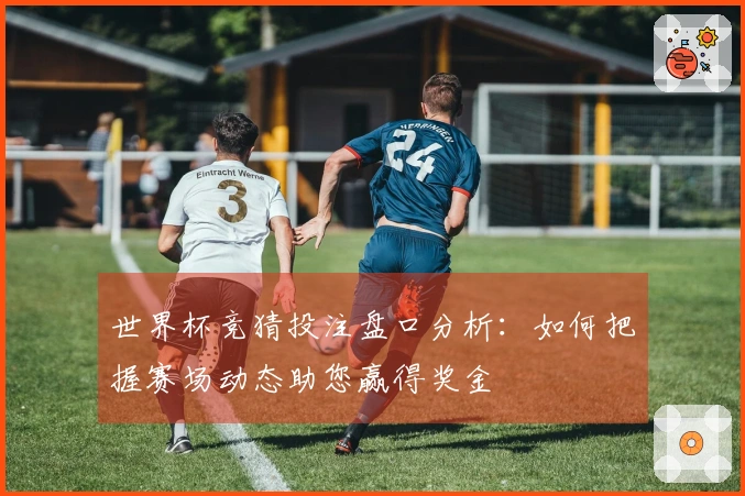 世界杯竞猜投注盘口分析：如何把握赛场动态助您赢得奖金