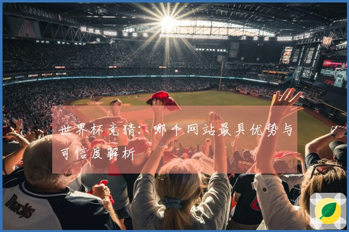 世界杯竞猜：哪个网站最具优势与可信度解析