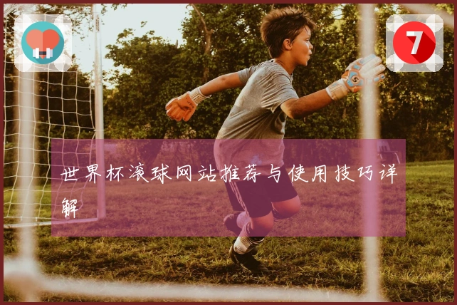 世界杯滚球网站推荐与使用技巧详解