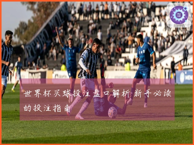 世界杯买球投注盘口解析 新手必读的投注指南