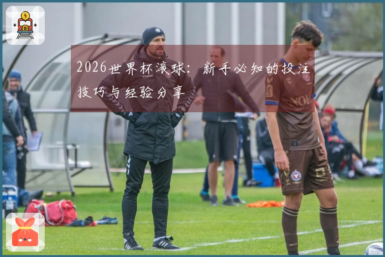 2026世界杯滚球：新手必知的投注技巧与经验分享