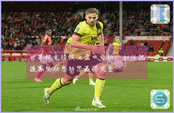 世界杯竞猜投注盘口分析：如何把握赛场动态助您赢得奖金