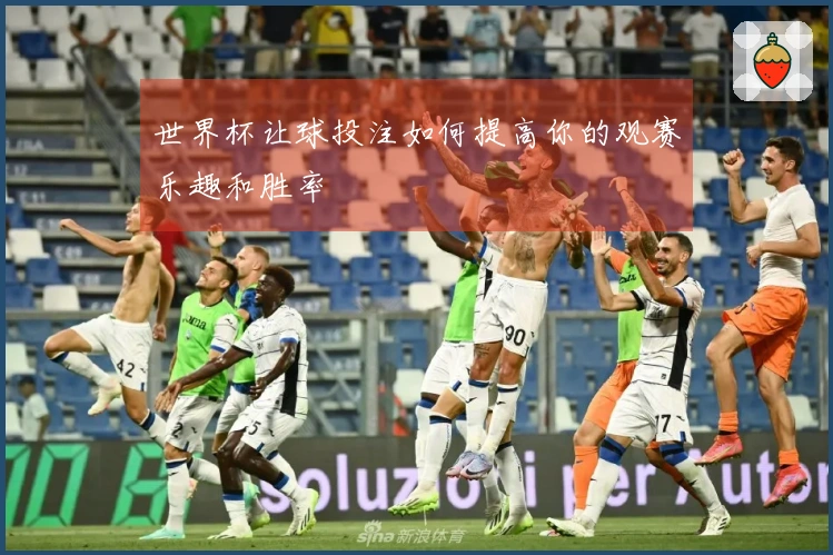 世界杯让球投注如何提高你的观赛乐趣和胜率