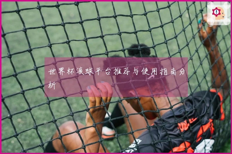 世界杯滚球平台推荐与使用指南分析