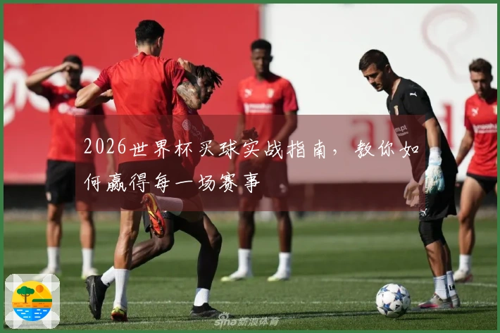 2026世界杯买球实战指南，教你如何赢得每一场赛事