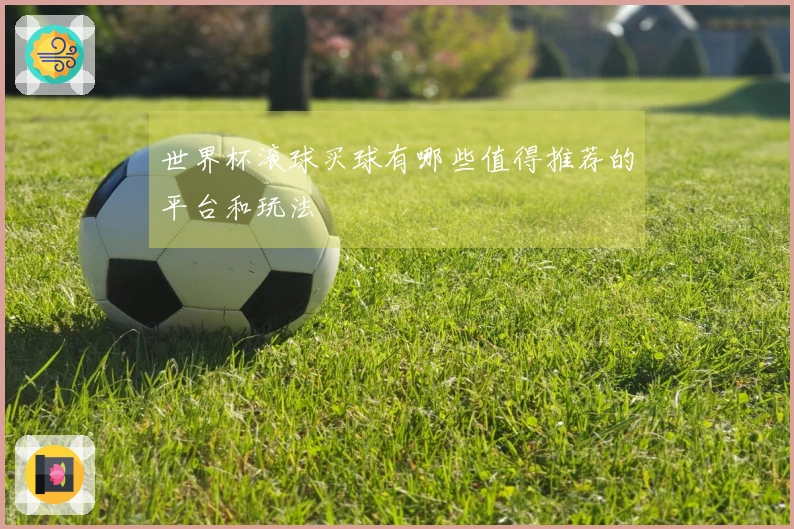 世界杯滚球买球有哪些值得推荐的平台和玩法